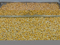 Freeze Dried Corn