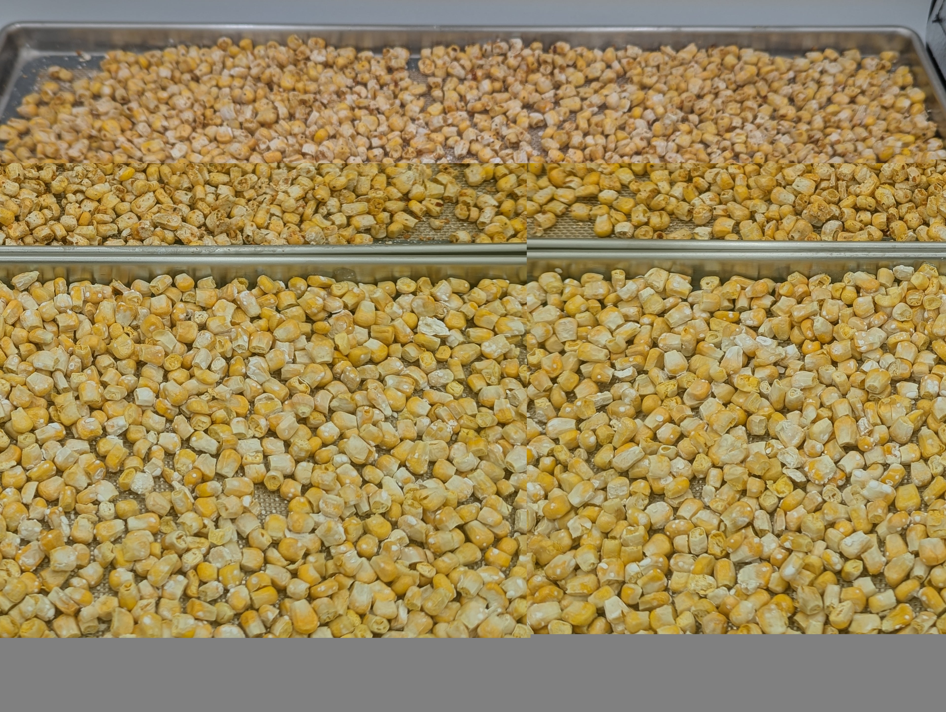 Freeze Dried Corn