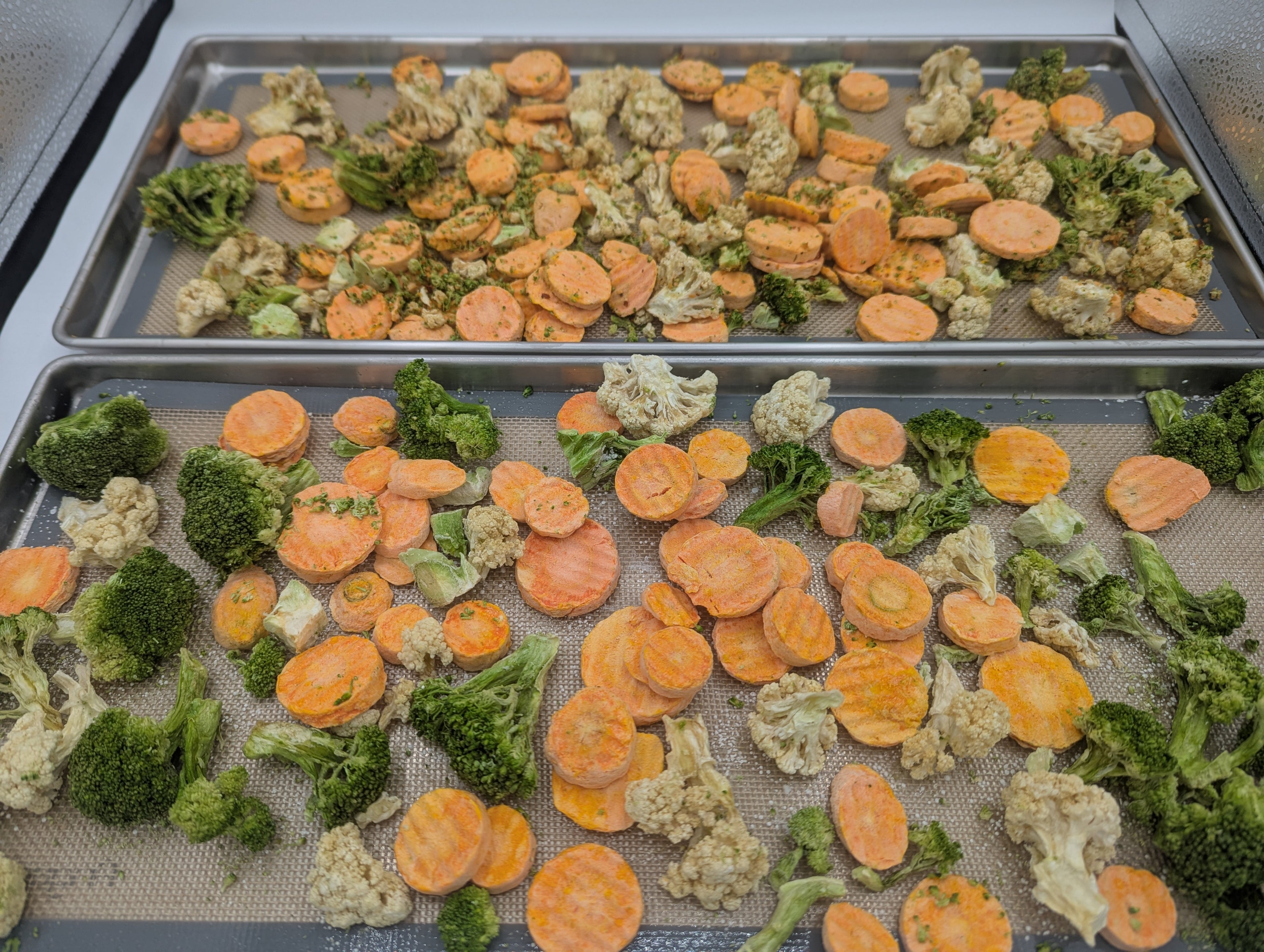 Freeze Dried Veggie Mix