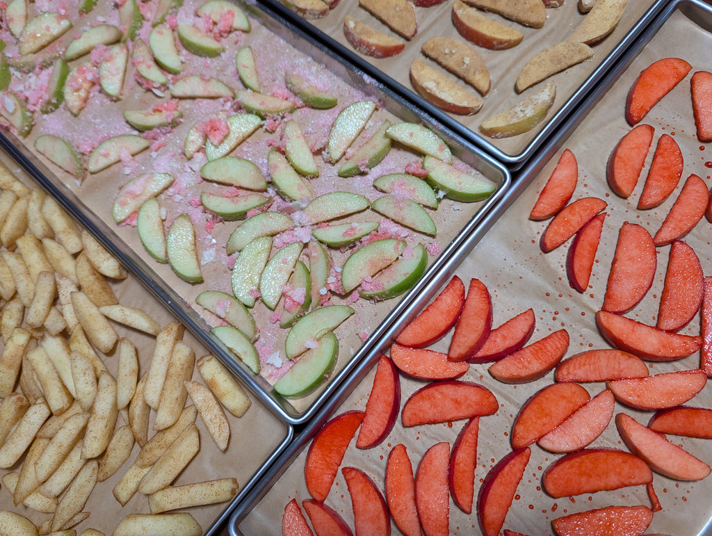 Apple Slices (Freeze-Dried)