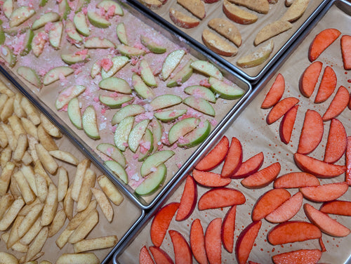 Apple Slices (Freeze-Dried)